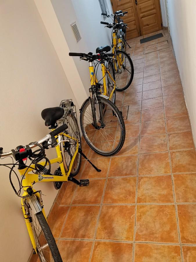 פיראן Apartments Bevk מראה חיצוני תמונה